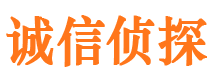 新邵市调查公司